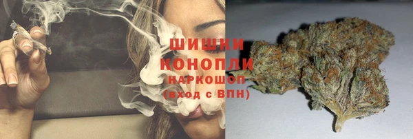 сатива Сафоново