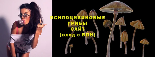 ECSTASY Саяногорск