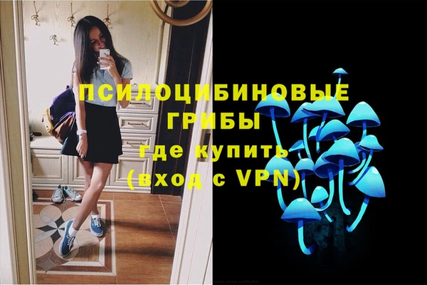 ECSTASY Саяногорск