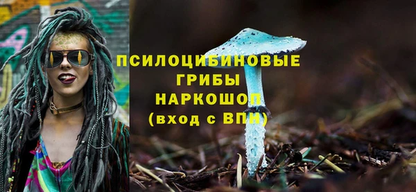 сатива Сафоново