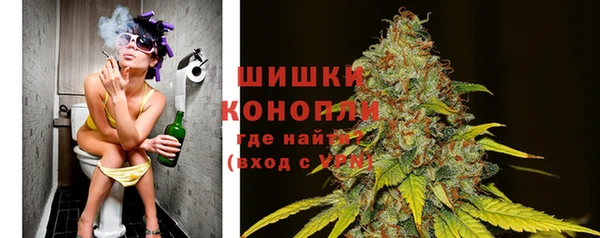 сатива Сафоново